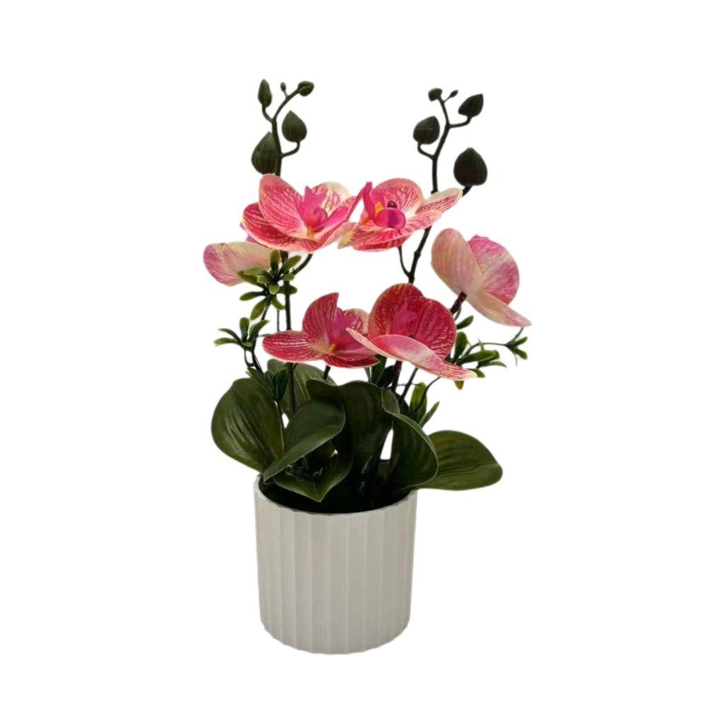 Multicolor Moth Orchid Artificial Flower Accessories Plastic Simulation Bonsai Green Leaves White Flowerpot
