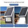 DreamBubble 100W Solar Outdoor Flood Light