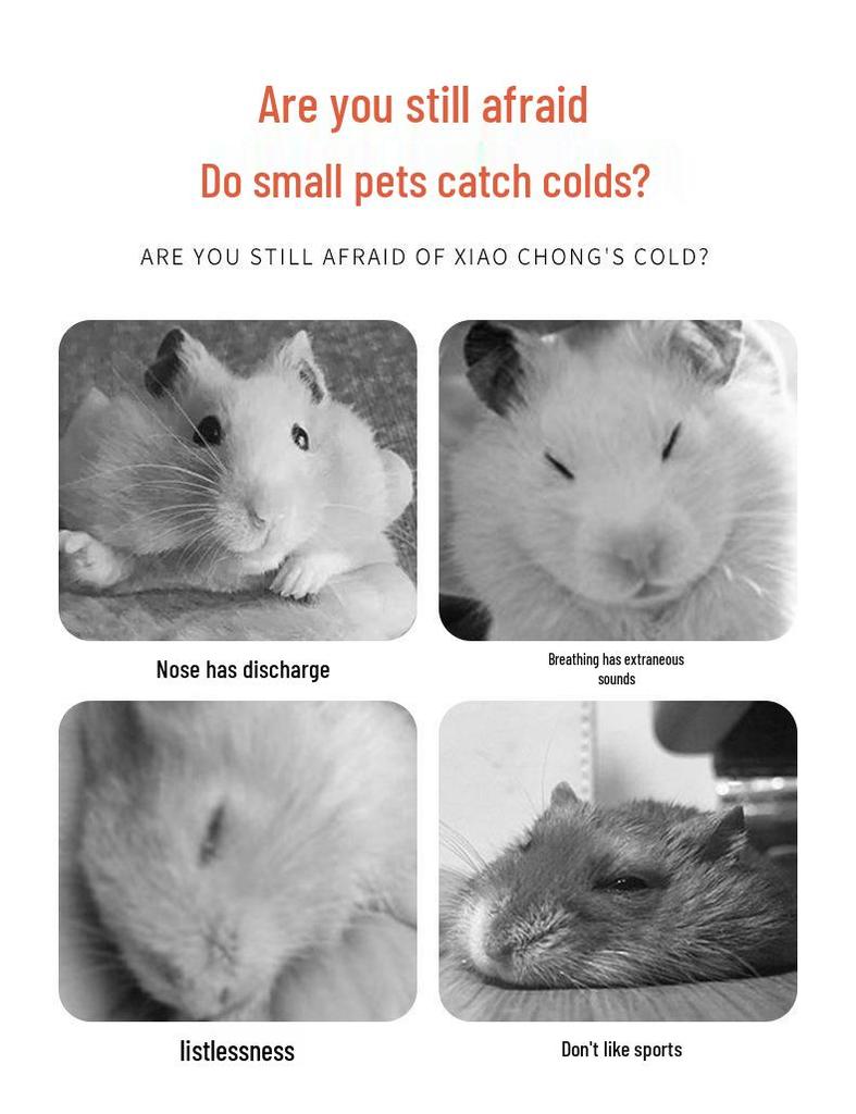 2025 Portable Cotton Nest Bag for Small Pets - Hamster, Glider, Squirrel