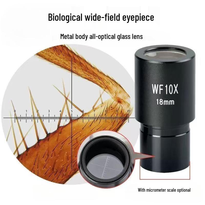 Biological Microscope Lens Accessories: WF10X-25X Magnification Stereoscopic Wide-Angle Eyepiece with High Eye Point and Micrometer.