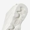 Fila Ray Script