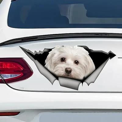Autoaufkleber personalisierter Hund 3D dreidimensionaler Aufkleber Karosserieschrammen Abdeckung Cartoon Autoaufkleber Stoßstangen hinten Kratzer Aufkleber