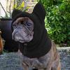 Dog Winter Warm Hat Soft Winter Walking Ear Hoodie Dog Headband Cute Warm Dog Knitted Hat For Cold Weather Outdoor
