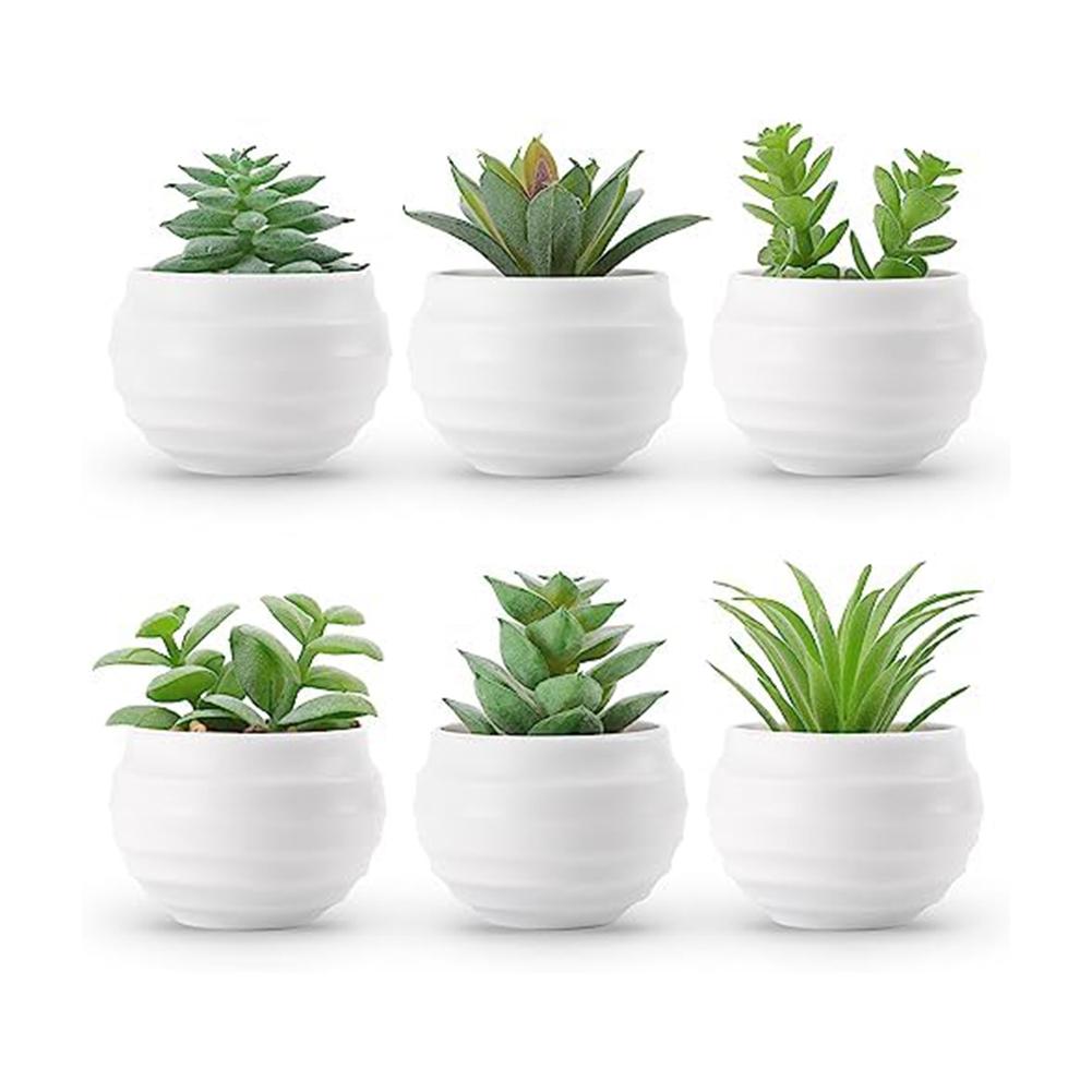Artificial Succulent Plants Decorative Plants Faux Succulent Set Compact Size