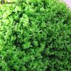 JNL Artificial Milan Grass Hanging Ball