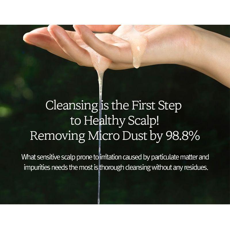 Nard Shampoo gegen Haarausfall