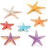 Lifelike Five-point Starfish Figurine Pvc Static Model Perfect For Beach Theme Decor