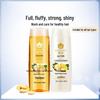 Bee & Flower Ginger Hair Care Set