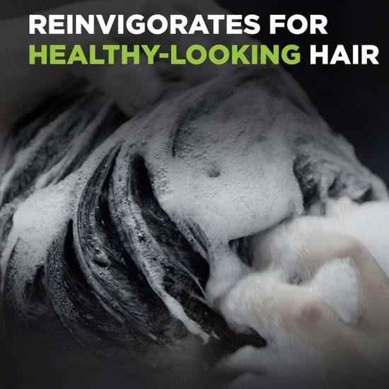 DOVE MEN CARE For Healthy Hair 2 In Shampoo and Conditioner Lime Cedar Naturally Derived Plant-Based Cleanser 20.4