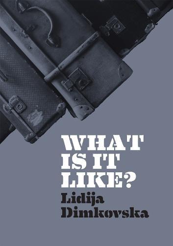 What Is It Like by Lidija Dimkovska Paperback Book 9781903110829