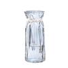 Modern European Glass Vase for Fresh or Dried Flowers - Hydroponic Desktop Ornament