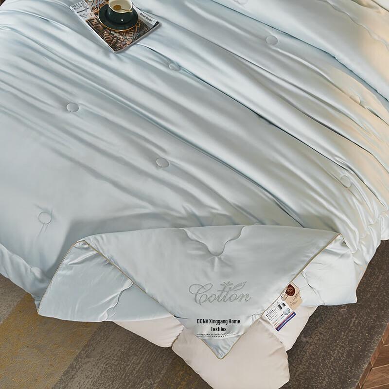 Tangna Premium German Velvet Winter Quilt