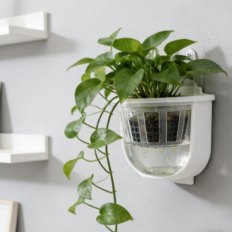 Hydroponic Plant Growing Container Transparent Planting Baskets Garden Slotted Cup Hydroponic Vegetable Planting Seedling Cups