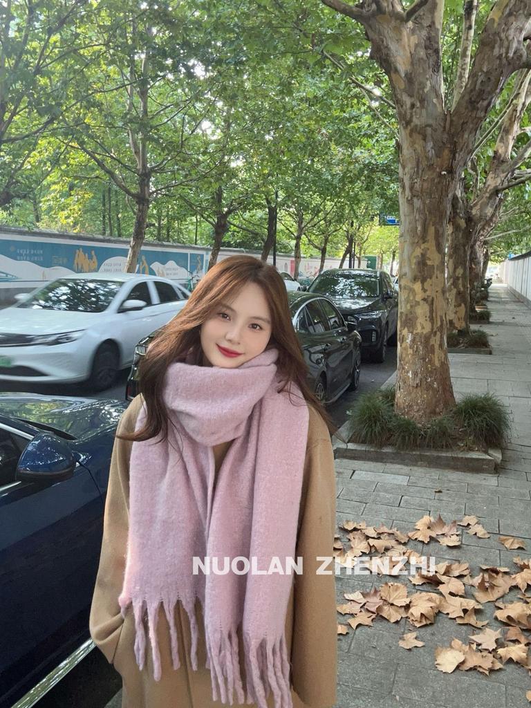 Korean Solid Color Versatile Imitation Cashmere Scarf Female Winter Student Warm Thickened Scarf Popular Scarf Collection Wholesale