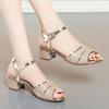 Fashion AIYUQI Sandals Woman Summer 2025 New Large Size 41 42 43 Open Toe Roman Sandals Women Mid Heel Fashion Sandals Woman