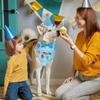 Cute Pet Birthday Caps Adjustable Cat Triangle Scarf Dog Dress Up Dog Birthday Bib  for Dogs Cats