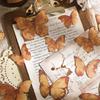 15-Sheet Retro Brown Plant Leaf Specimen Stickers, Decorative for Journal Collage & DIY Crafts