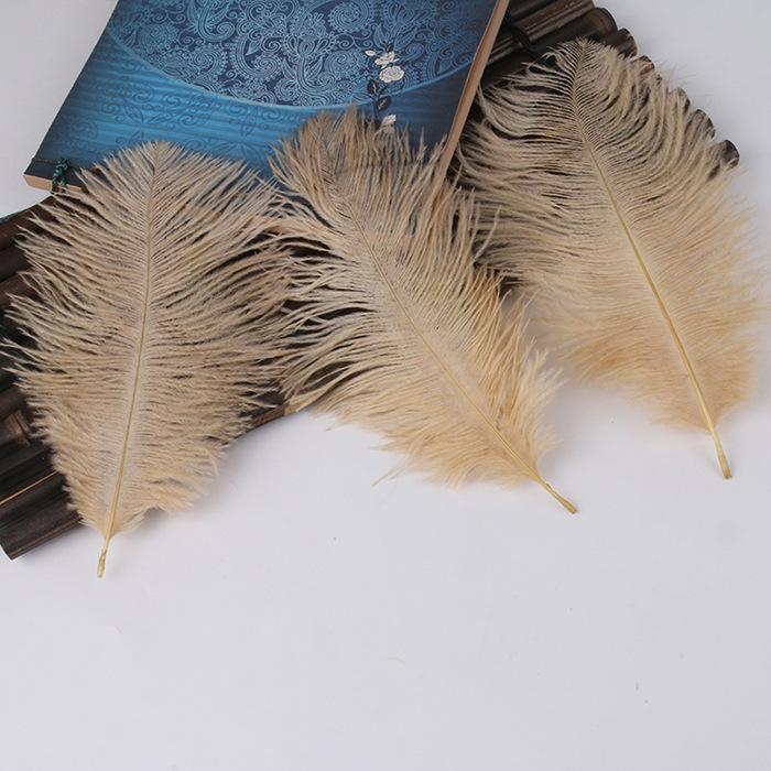 

20-25 см страусиные перья красочные перья украшение дома цветочная композиция свадебные страусиные перья 10pcs света кофе