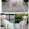 Summer Thin Pet Clothes Fluffy Skirt Than Bear Teddy Puppy Dress Dog Princess Dress
