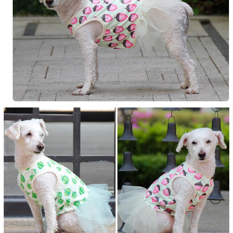 Summer Thin Pet Clothes Fluffy Skirt Than Bear Teddy Puppy Dress Dog Princess Dress