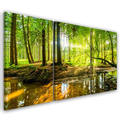 Three Piece Picture Canvas Print Forest Lake Nature