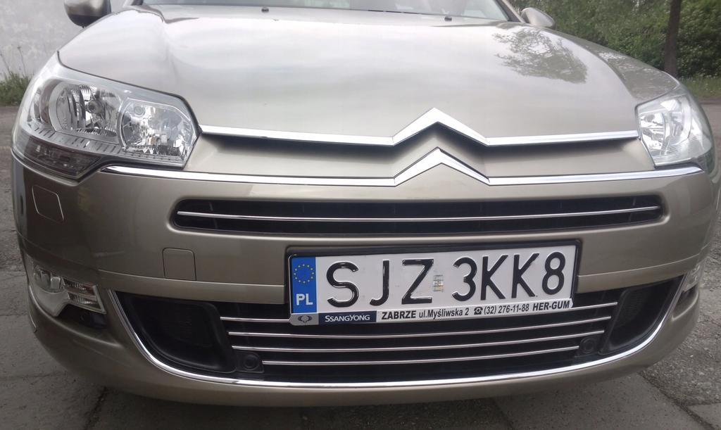 Citroen C5 III - Strisce Cromate Per Griglia Cromata
