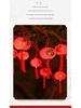 Spring Festival Double Happiness Red Lantern LED String Lights - Festive New Year Decoration