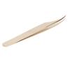 Stainless Steel Eyelash Tweezer Professional Lash Extension Tweezer Application for Nail Pearl Golden Dolphin Tweezer