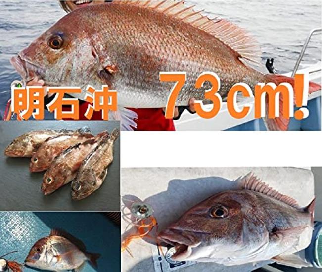 Tungsten Tairaba Head Induction Sinker Type A Ryoga TG Crimson Gold 1 of 3 pieces total + (45g, Glitter, Glitter) - each,