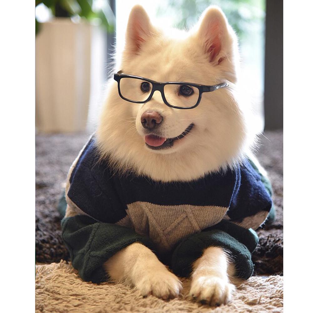 DIY Diamond Painting 5D Animal Full Round Diamond Mosaic Cat Embroidery Home Decoration Sale