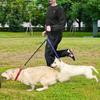 Dogs For Two Double Pet Traction Rope Pet Leash Belt Pet Supplies Dogs Lead Stuff Dog Leash Rope