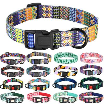 Köpek – Köpek Tasmaları ve Tasma Kayışları