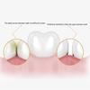 Portable 50Pcs/Box Disposable Superfine Dental Floss Deep Cleaning Toothbrush Tooth Gap Cleaning Oral Care Travel Daily Life