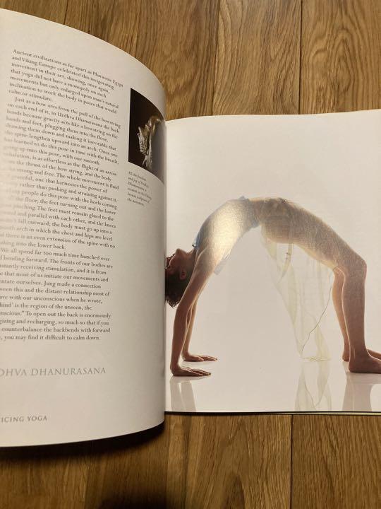 [USED] The Spirit of Yoga Yoga Textbook