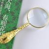 Metal Handheld Magnifier Delicate Pattern Magnifying Glass 5X Carved Magnifier  Reading Book