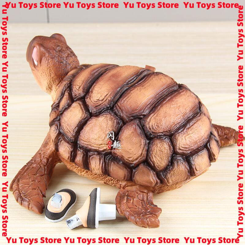 17cm In Stock  Jt Toys Anime Figures Master Roshi Figures Kame Sennin Statue Collect Model Desk Ornament Gift Toy