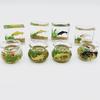Fish Tank Toy Miniature Ornaments Resin Dollhouse Fish Tank Scene Accessories for Girls