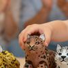 3D Printed Leopard Figurine Movable Joints Leopard Figure Articulated Animal Model Fidget Toy Home Office Bookshelf Decoration Ornament