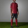 Adidas Belgium 2024 Home Authentic Jersey Team Coll Burgundy Men Streetwear IM8440
