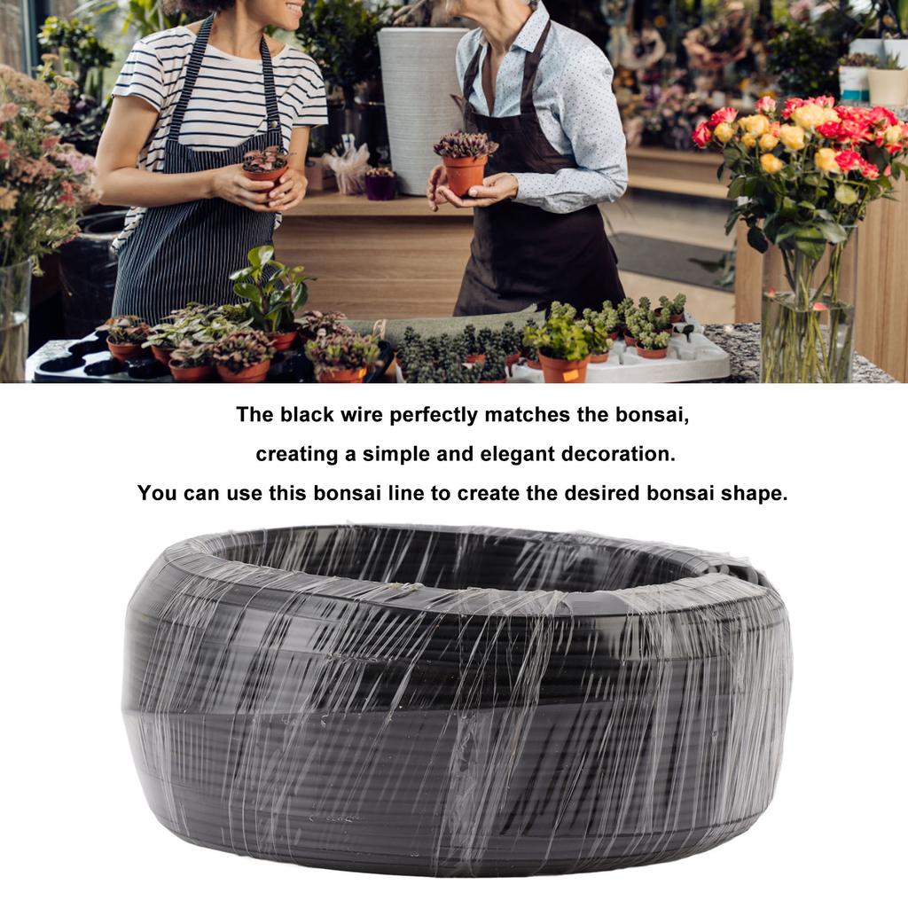 Bonsai Wire Aluminum Wire Bonsai Tree Training Wire 500g Black for Garden Horticulture 1.0mm / 0.04in