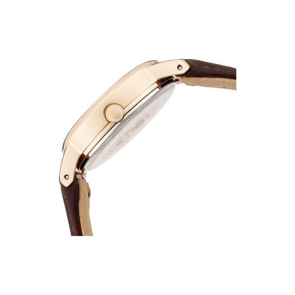 CITIZEN Ecology Drive Collection Light Powered Quartz Movement Cow Leather Strap Watch Women's Watch EW3252-07A