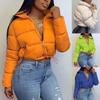 Mode femmes solide col montant Cardigan doudoune vêtements d'extérieur manteau rembourré