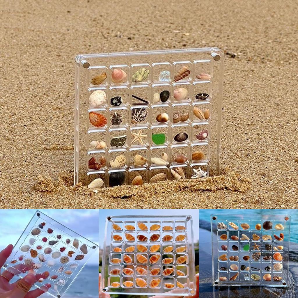 36/64 Grids Seashell Display Box Acrylic Magnetic Seashell Display Case Organizer Box Stackable Diy Craft Compartment Box