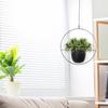 Nordic Metal Hanging Pot Plant Hanger Chain Wall Hanging Planter Basket Flower Pot Plant Holder Balcony Garden Home Decoration