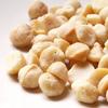 Kojimaya Unglazed Macadamia Nuts 400g X 5 Bags Direct Flame Roasted Nuts Specialty Store Additive-free Salt-free Oil-free