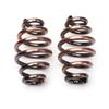 Karun Solo Seat Spring Bracket Kit for Harley Sportster Bobber Chopper Custom Bikes (Brown 03)