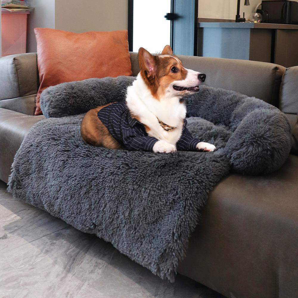 dog settee bed