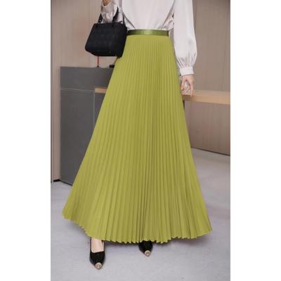 Women's Spring and Summer Long Pleated Skirt Slim A-line Long Skirt High Waist Half-body Skirt