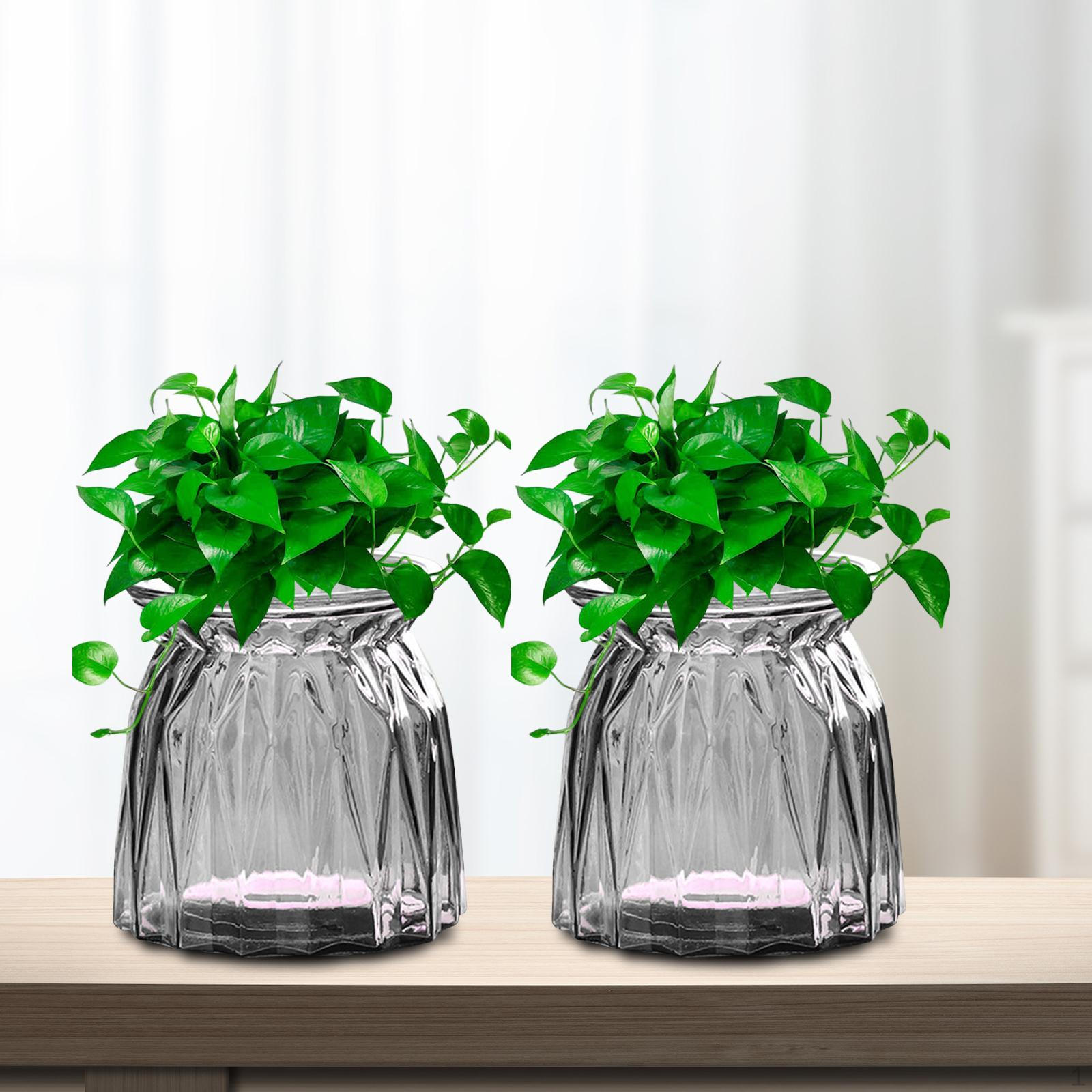 2 Pcs Glass Bud Vase Planter Flower Pot Table Centerpiece Bundle Storage Decorative Holder for gray