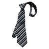 Japanese Stripe Necktie Business Multicolor Necktie Casual Versatiles Ties for Business Meetings